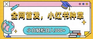 小红书种草，手机项目，日入3张，复制黏贴即可，可矩阵操作，动手不动脑【揭秘】-吾爱网创