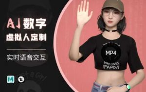 Ai数字人虚拟(智能体)实时语音交互特训营,自行定制超写实角色AI数字人交互技术-吾爱网创