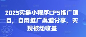 2025实操小程序CPS推广项目,自用推广渠道分享,实现被动收益-吾爱网创
