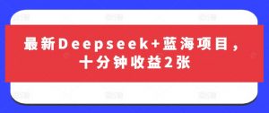 最新Deepseek+蓝海项目,十分钟收益2张-吾爱网创