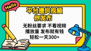 平台提供视频 你发布 无粉丝要求 不看视频播放量 发布就有钱 轻松一天300+-吾爱网创