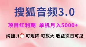 搜狐音频挂ji3.0.可矩阵可放大,独家技术,稳定月入5000+【揭秘】-吾爱网创