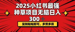 2025小红书最强种草项目，无脑日入300+，复制粘帖即可，多劳多得-吾爱网创