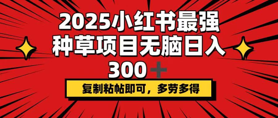 2025小红书最强种草项目，无脑日入300+，复制粘帖即可，多劳多得-吾爱网创