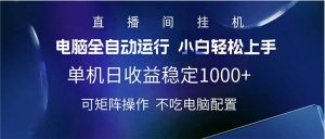 2025直播间最新玩法单机日入1000+ 全自动运行 可矩阵操作-吾爱网创
