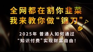 全网都在割你韭菜，我来教你做镰刀,2025普通人如何通过知识付费，实现财F自由【揭秘】-吾爱网创