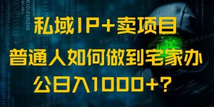 私域IP+卖项目,普通人如何做到宅家办公实现日入1000+-吾爱网创