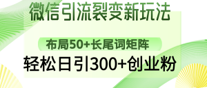 微信引流裂变新玩法：布局50+长尾词矩阵，轻松日引300+创业粉-吾爱网创