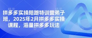 拼多多实操陪跑特训营弟子班,2025年2月拼多多实操课程,海量拼多多玩法-吾爱网创