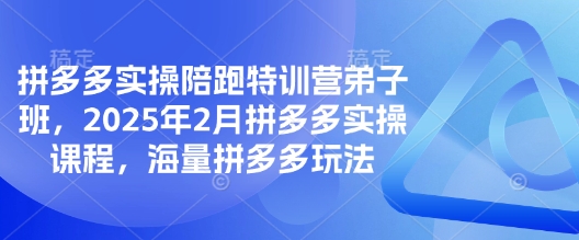 拼多多实操陪跑特训营弟子班,2025年2月拼多多实操课程,海量拼多多玩法-吾爱网创