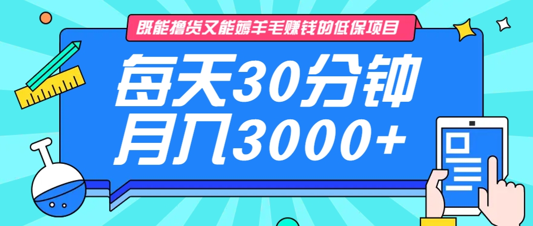 既能撸货又能赚钱的长期低保项目，每天30分钟，多号百分百稳定月入3000+！-吾爱网创