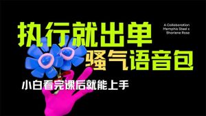爆火全网的开车导航骚气语音包,只要执行就出单,小白看完课程就能实操...-吾爱网创