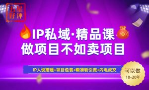 2025年“IP私域·密训精品课”,日赚3000+小白避坑年赚百万,暴力引流...-吾爱网创