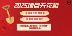 2025项目天花板普通人如何通过知识付费，实现财F自由【揭秘】-吾爱网创