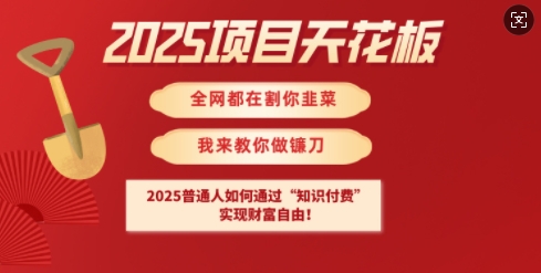 2025项目天花板普通人如何通过知识付费,实现财F自由【揭秘】-吾爱网创