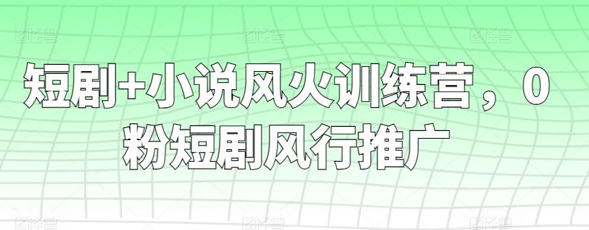 短剧+小说风火训练营，0粉短剧风行推广-吾爱网创