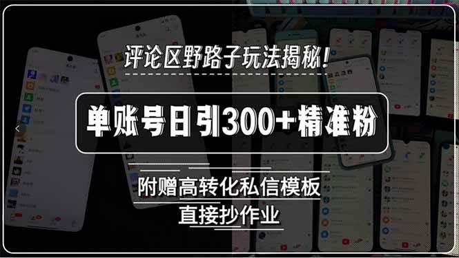 （15466期）评论区野路子玩法揭秘！单账号日引300+精准粉，附赠高转化私信模板，直…-吾爱网创