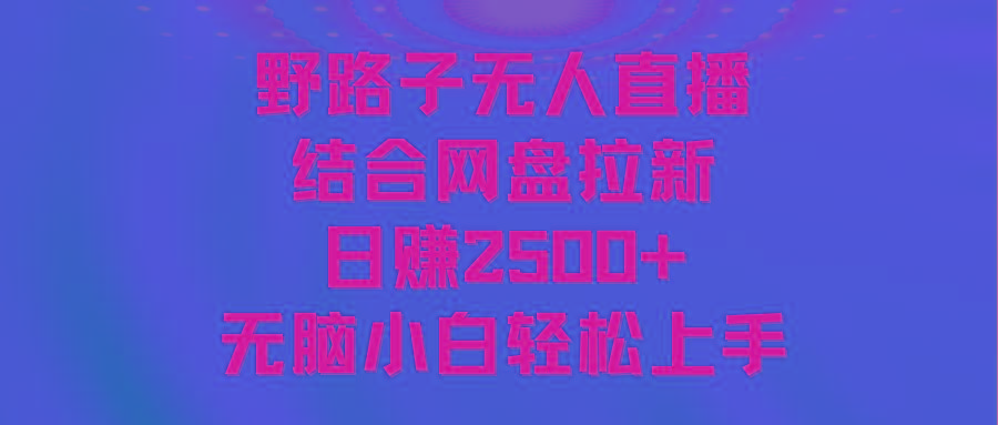 无人直播野路子结合网盘拉新，日赚2500+多平台变现，小白无脑轻松上手操作-吾爱网创