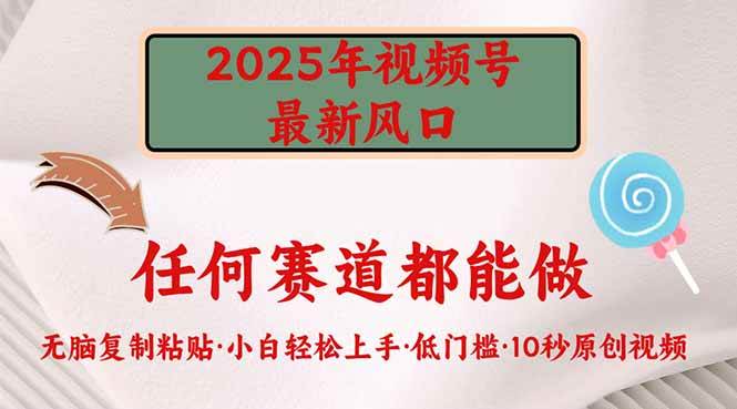 (14453期)2025年视频号新风口,低门槛只需要无脑执行-吾爱网创
