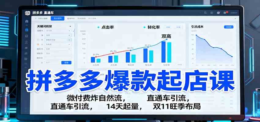 拼多多爆款起店课：微付费炸自然流，直通车引流，14天起量，双11旺季布局-吾爱网创