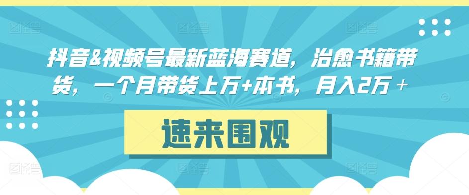 抖音&视频号最新蓝海赛道，治愈书籍带货，一个月带货上万+本书，月入2万＋【揭秘】-吾爱网创