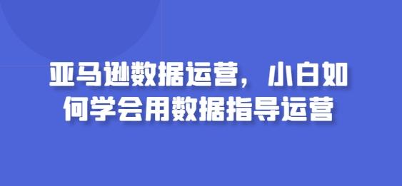 亚马逊数据运营，小白如何学会用数据指导运营-吾爱网创