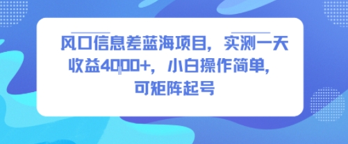 风口信息差蓝海项目,实测一天收益4k+,小白操作简单,可矩阵起号-吾爱网创