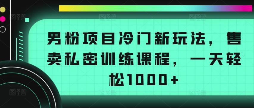 男粉项目冷门新玩法，售卖私密训练课程，一天轻松1000+【揭秘】-吾爱网创