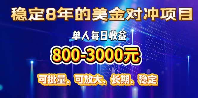 （15782期）稳定8年的美金对冲创业项目，单人每日收益800-3000，小众暴力项目-吾爱网创
