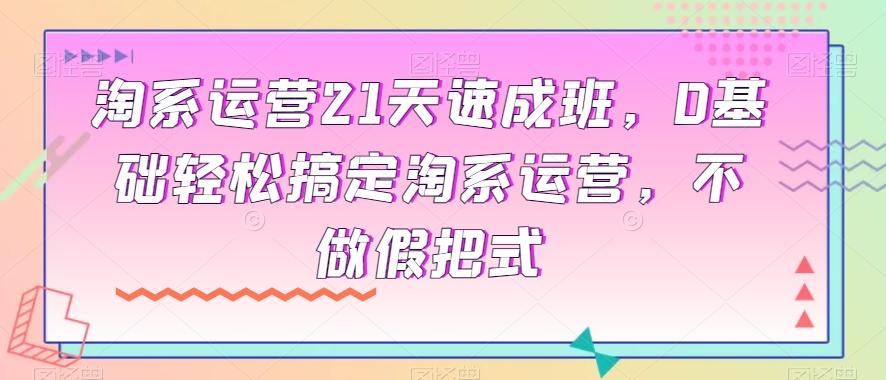淘系运营21天速成班，0基础轻松搞定淘系运营，不做假把式-吾爱网创
