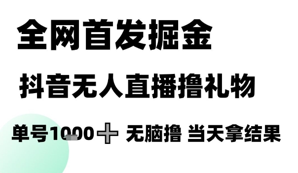 全网首发掘金抖音无人直播撸礼物，单号1k +无脑撸，当天拿结果【揭秘】-吾爱网创