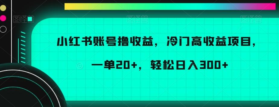 小红书账号撸收益，冷门高收益项目，一单20+，轻松日入300+【揭秘】-吾爱网创