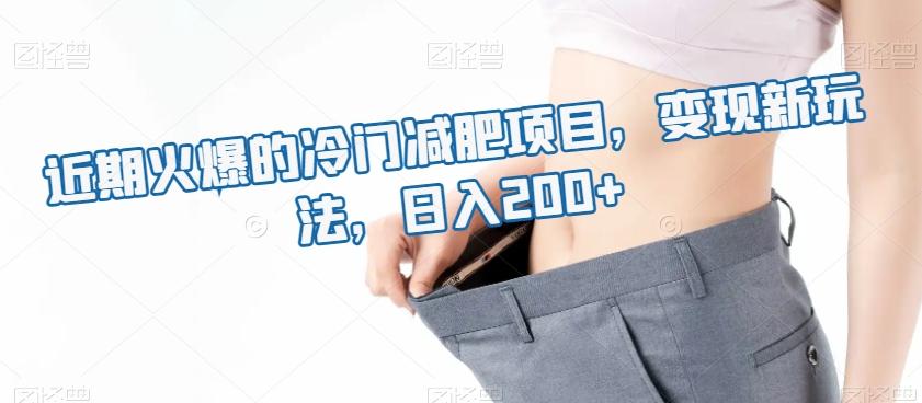 近期火爆的冷门减肥项目，变现新玩法，日入200+-吾爱网创