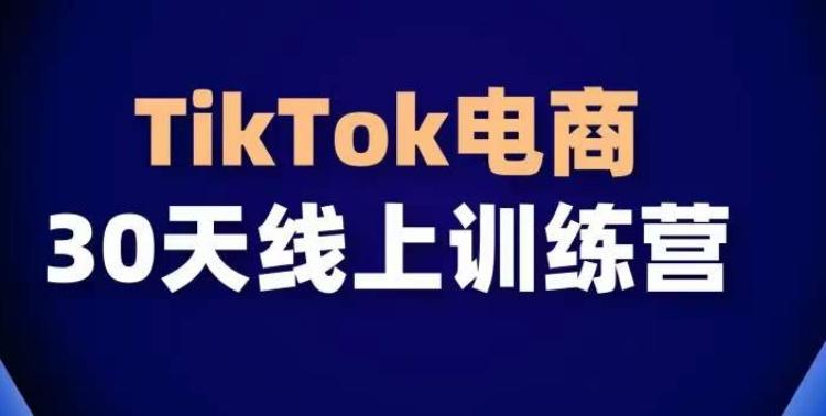 TikTok电商带货30天线上课，不可错过的全球流量洼地！-吾爱网创