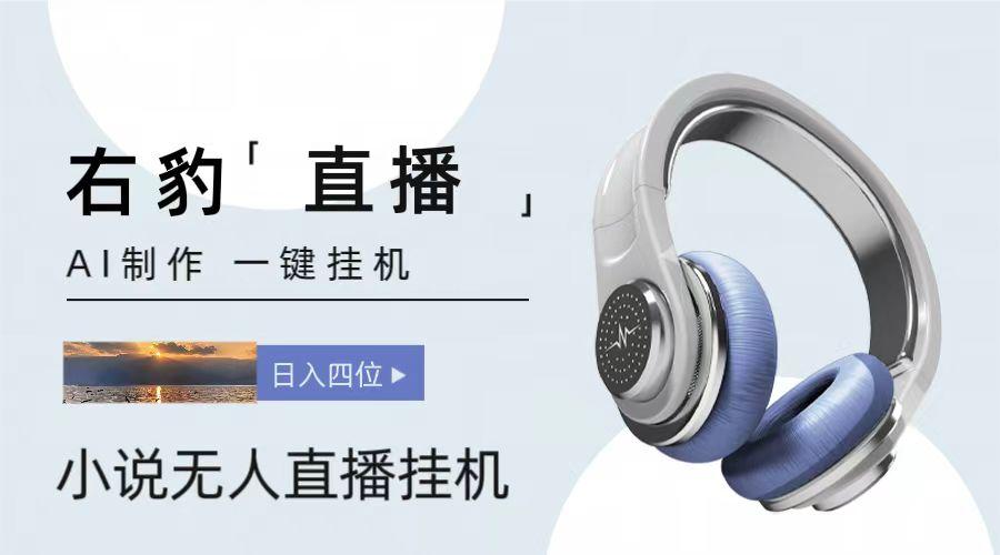 右豹小说无人直播挂机吸金项目，简单易行收益稳定， 月入1000+-吾爱网创