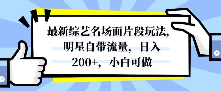 最新综艺名场面片段玩法，明星自带流量，日入200+，小白可做【揭秘】-吾爱网创