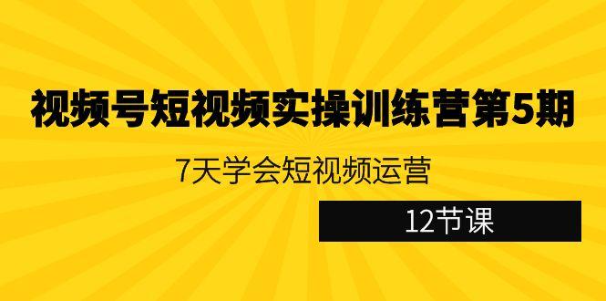 视频号短视频实操训练营第5期：7天学会短视频运营(12节课)-吾爱网创