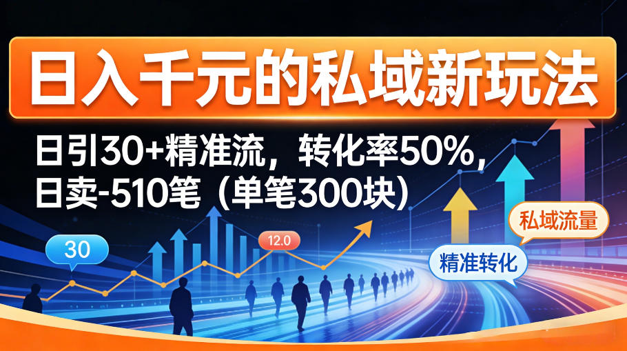 日入千米的私域新玩法:日引30+精准流,转化率50%,日卖5-10笔(单笔300米)-吾爱网创
