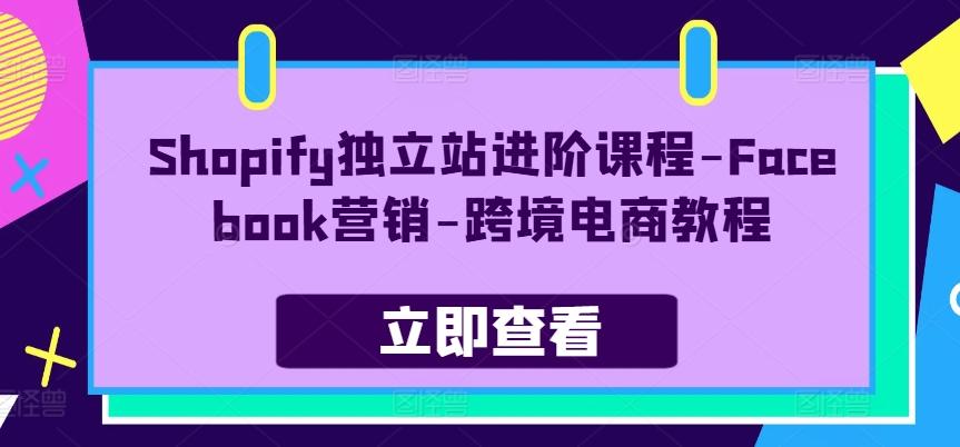 Shopify独立站进阶课程-Facebook营销-跨境电商教程-吾爱网创