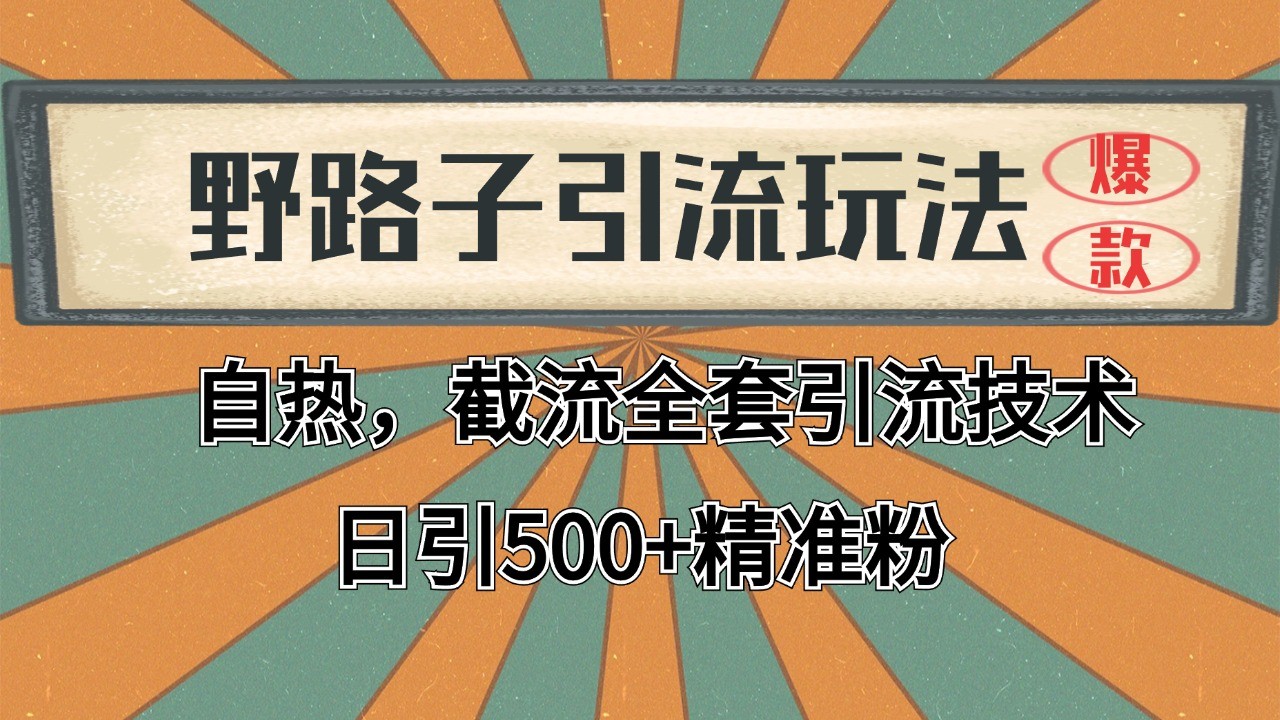 2024首发野路子引流玩法截流自热全平台打法，全自动引流【日引2000+精准客户】-吾爱网创
