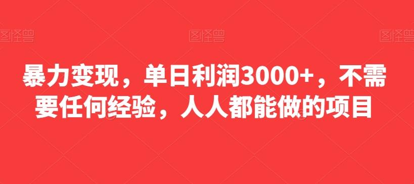 暴力变现，单日利润3000+，不需要任何经验，人人都能做的项目-吾爱网创