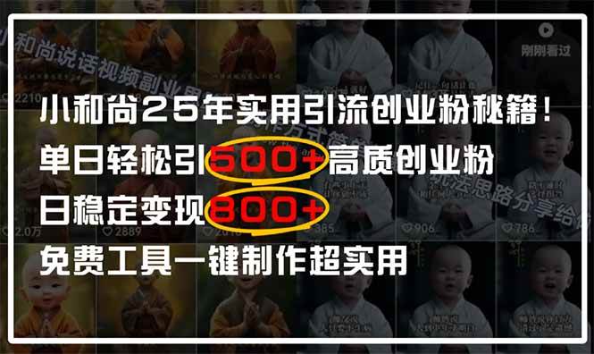 （14436期）小和尚2025年实用引流秘籍！单日轻松引500+高质量创业粉，日变现800+，…-吾爱网创