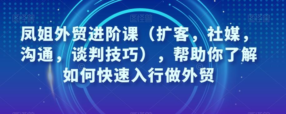 凤姐外贸进阶课（扩客，社媒，沟通，谈判技巧），帮助你了解如何快速入行做外贸-吾爱网创