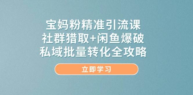 宝妈粉精准引流课，社群猎取+闲鱼爆破，私域批量转化全攻略-吾爱网创