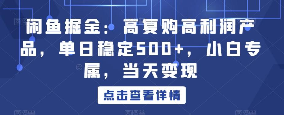 闲鱼掘金：高复购高利润产品，单日稳定500+，小白专属，当天变现-吾爱网创