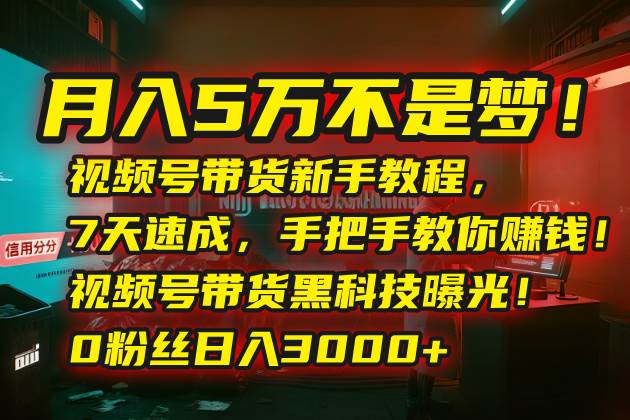 （15595期）月入5万不是梦！视频号带货新手教程，7天速成，手把手教你赚钱！视频号…-吾爱网创