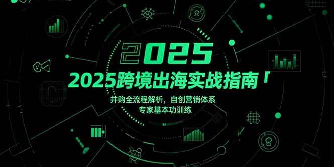 （15503期）2025跨境出海实战指南，并购全流程解析，自创营销体系，专家基本功训练-吾爱网创