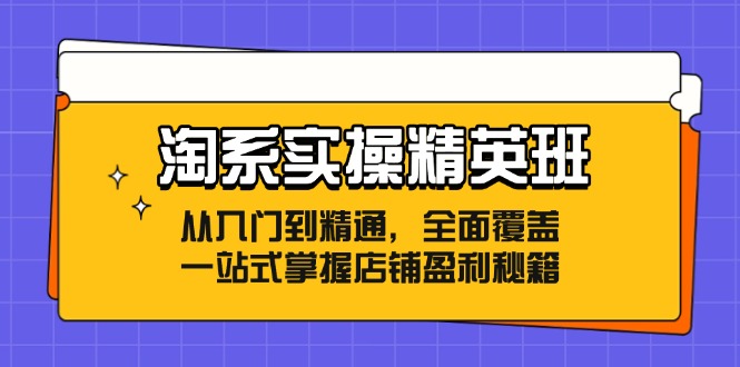 淘系实操精英班：从入门到精通，全面覆盖，一站式掌握店铺盈利秘籍-吾爱网创
