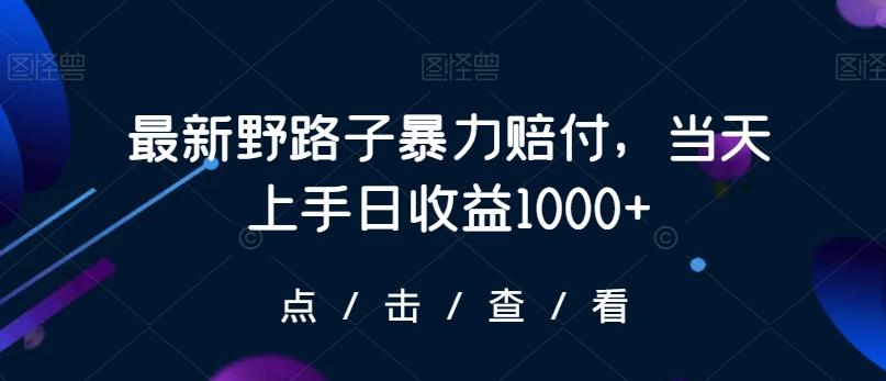 最新野路子暴力赔付，当天上手日收益1000+【仅揭秘】-吾爱网创
