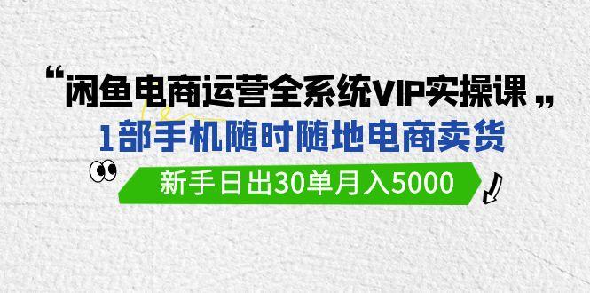 (9547期)闲鱼电商运营全系统VIP实战课，1部手机随时随地卖货，新手日出30单月入5000-吾爱网创